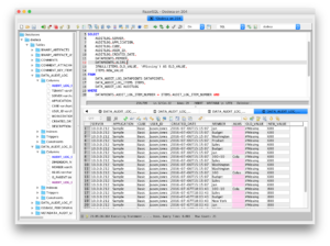 Sample query on the Dodeca repository data audit log tables