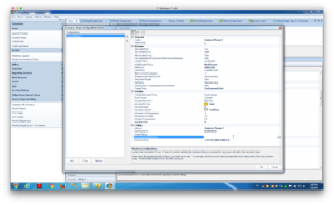 Main comment range configuration for Dodeca input template