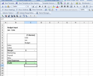 A simple Dodeca data input view template