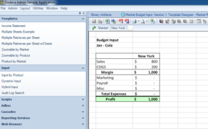 Our built input view showing current values for the Budget for this POV