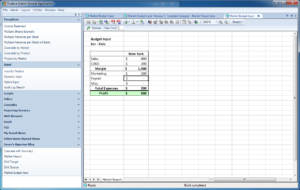 Budget input example with dynamic formula values