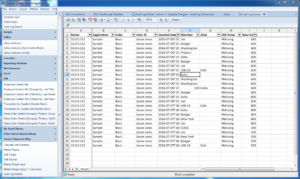 A Dodeca SQLExcel view built with data from the internal Dodeca audit log tables