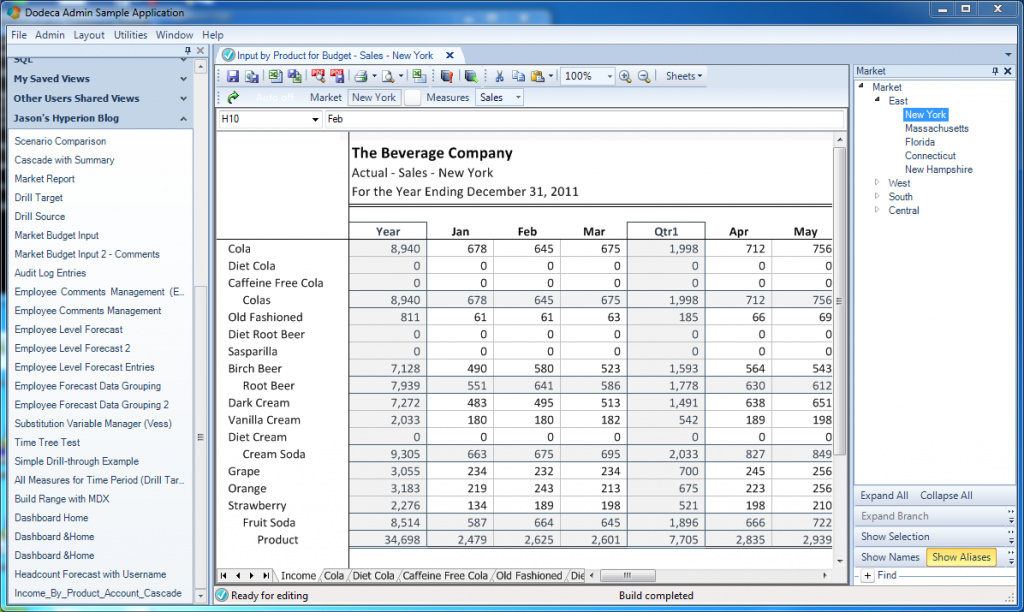 Main tab in workbook with Essbase data