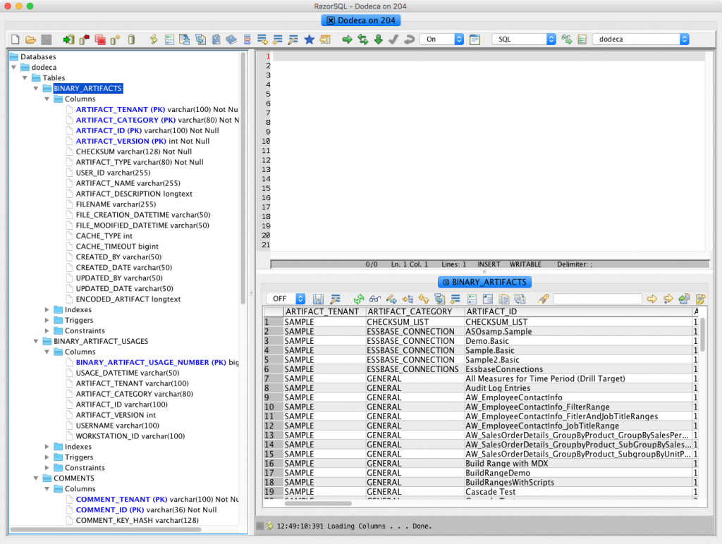 Column definitions for various tables in a Dodeca repository