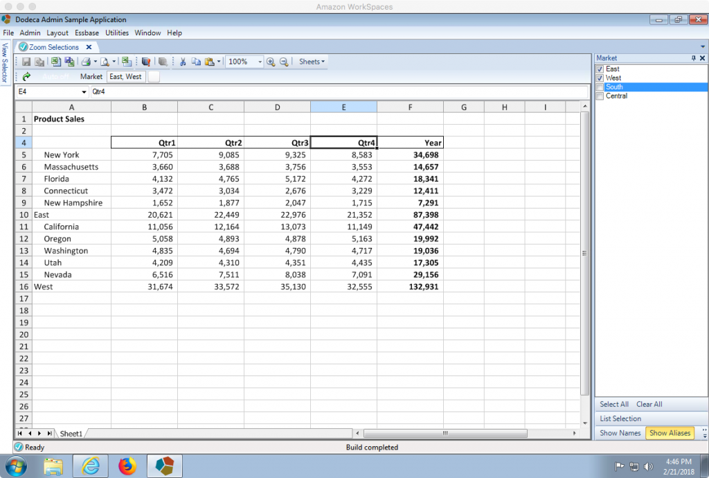 A built Dodeca view based on Sample/Basic with rows built dynamically from user selections