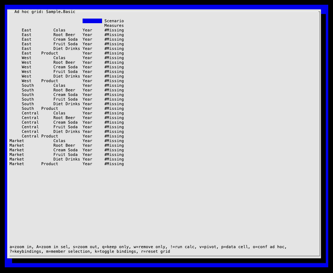 Essterm in 2026: an ad hoc grid on Sample.Basic zoomed into Market and Product at once, every data cell reading #Missing